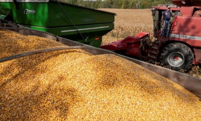 أوكرانيا: مبادرة تصدير الحبوب عبر البحر الأسود مهددة بالتوقف