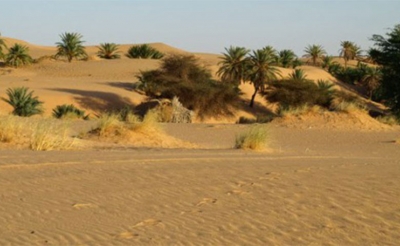 مشروع تنمية الصحراء بالجنوب التونسي