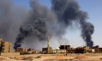 السودان.. خطط لإجلاء أسود يحاصرها القتال والجوع