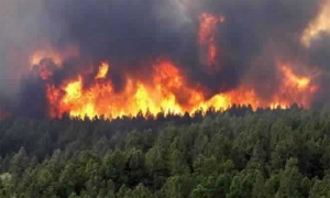 سليانة: اندلاع حريق بجبل بلوطة