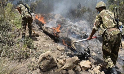 وزارة الدفاع الجزائرية: وفاة 10 عسكريين إثر حرائق الغابات