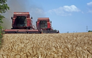روسيا تخطط لتزويد 6 دول أفريقية بـ 50 ألف طن من الحبوب