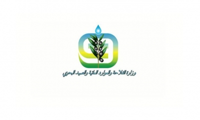 وزارة الفلاحة: نفي رفض تونس لهبة تتمثّل في مليون نعجة