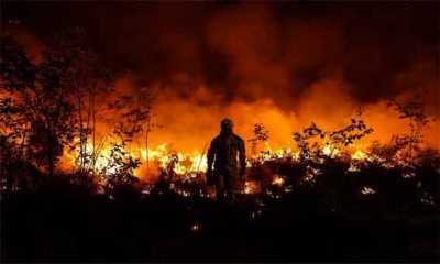 السيطرة على حريق أتى على 930 هكتارا في جنوب فرنسا